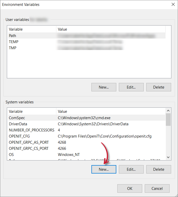 Add System Variable