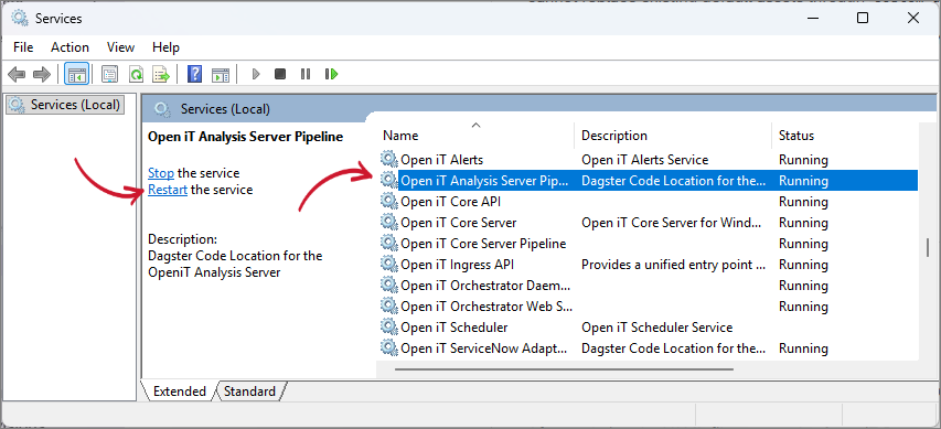 Analysis Server Pipeline Service