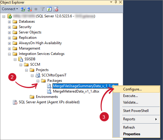  Integrated Services Catalog Project