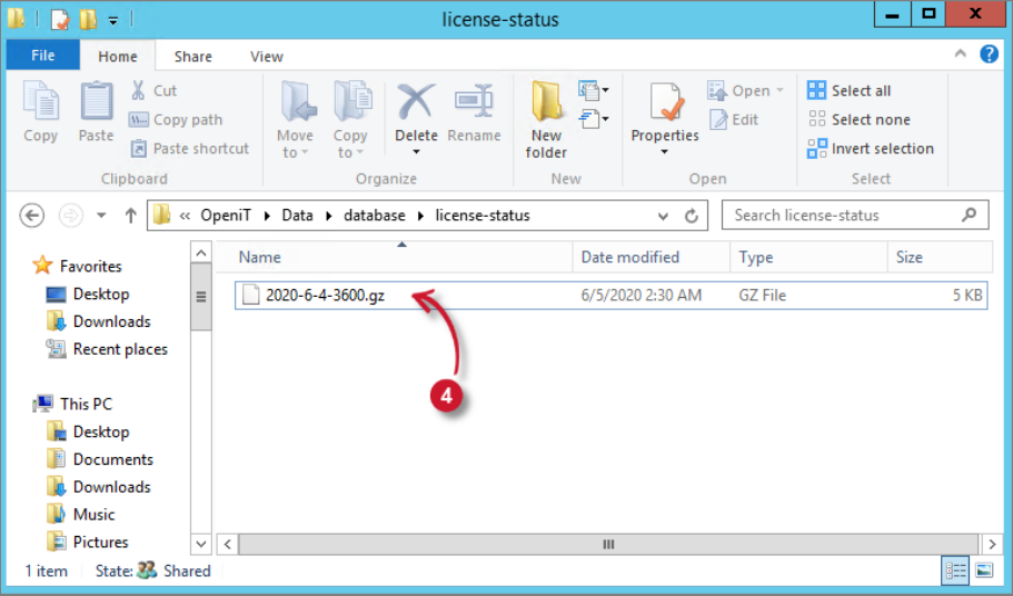 Check License Status File