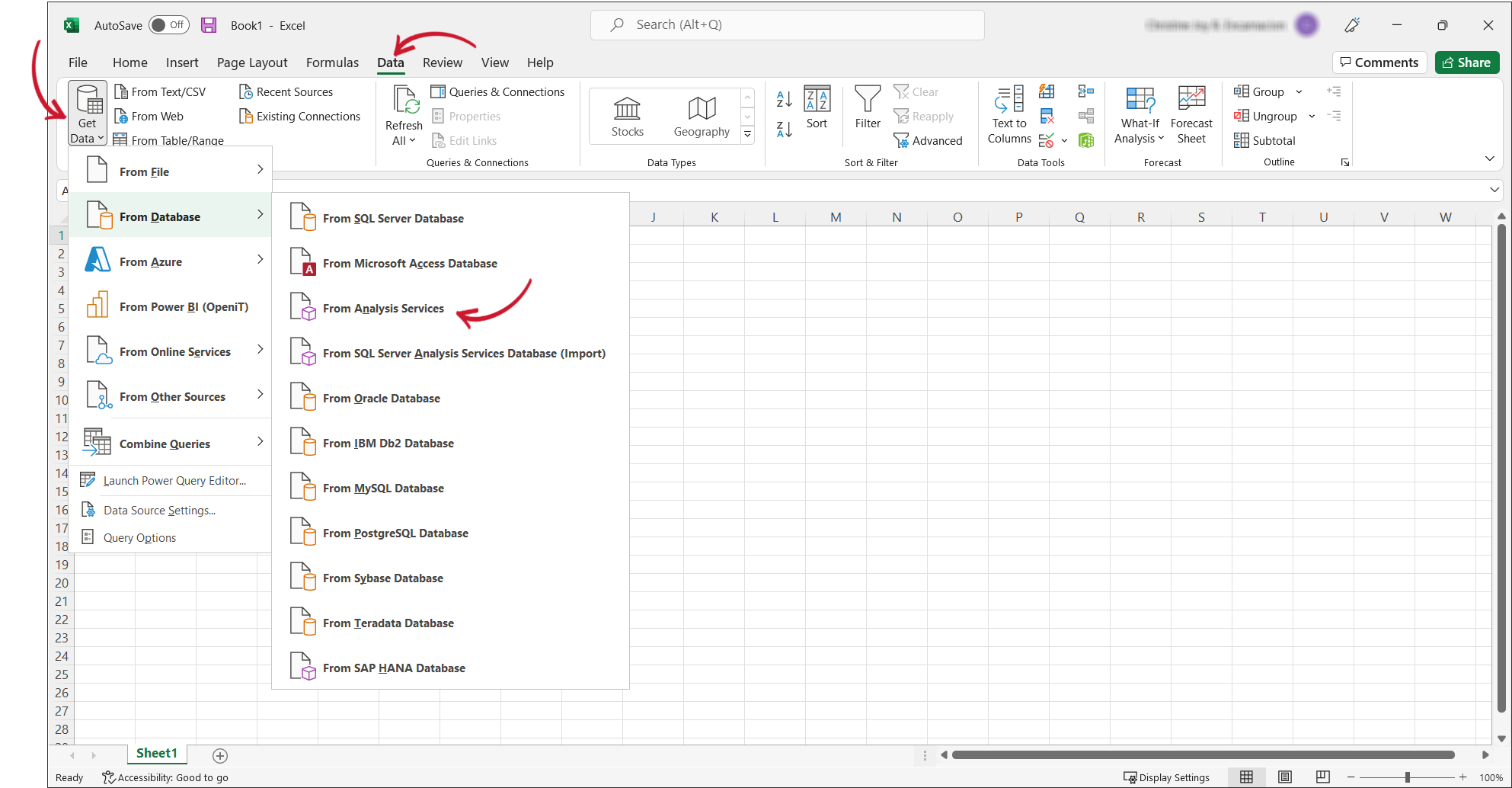 Getting Data from Analysis Services