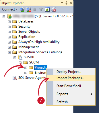 Import Packages in SSIS