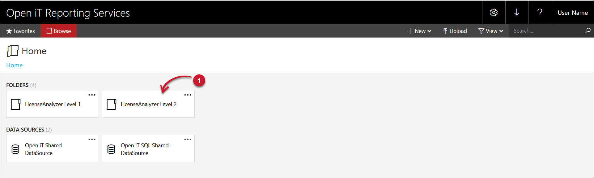 LicenseAnalyzer Level 2 Folder