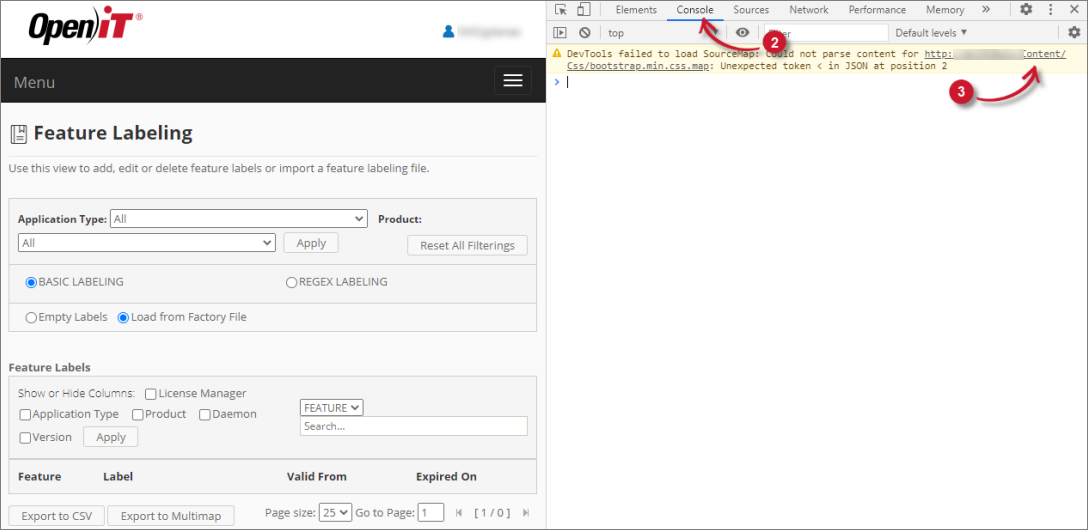 Check Web Browser Console Errors