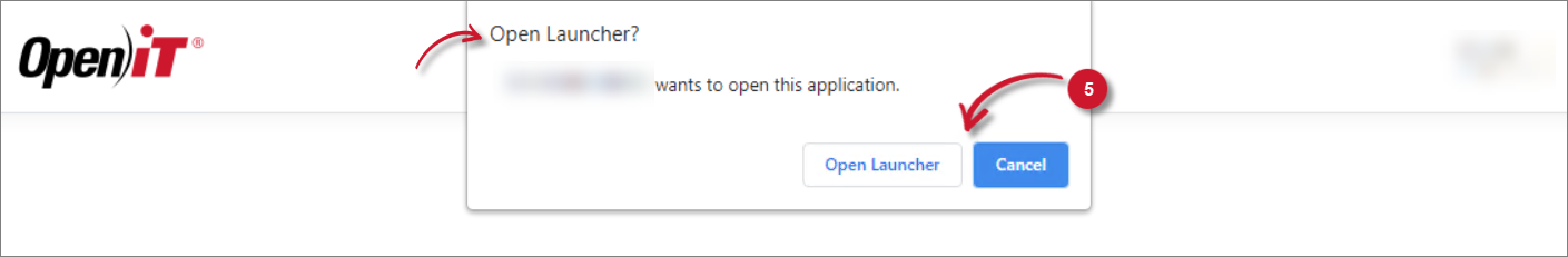 Application Prompt