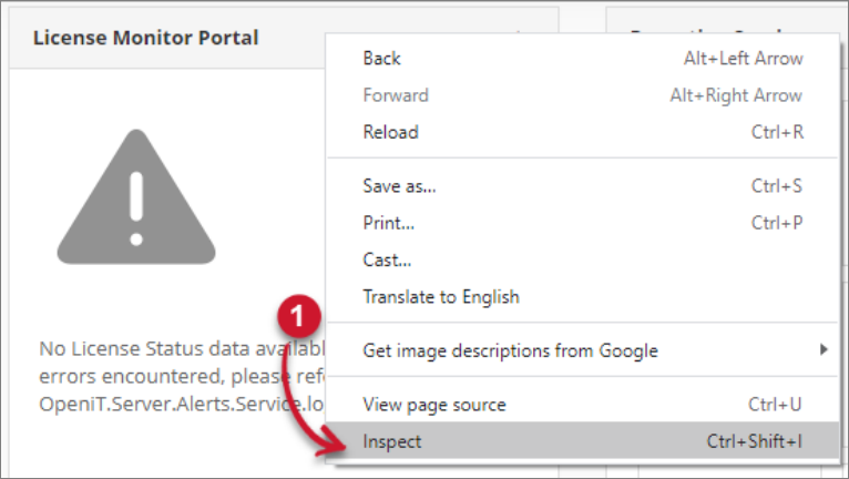 Inspect Web Browser