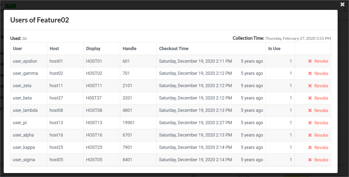 License Monitor Page: Users per Feature