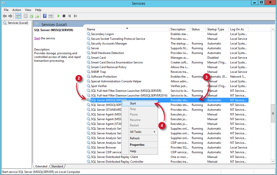 Check SQL Server Service is running