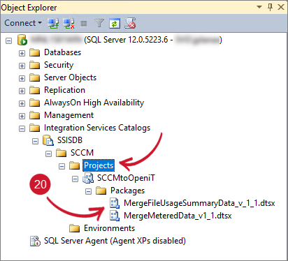  Integration Services Project