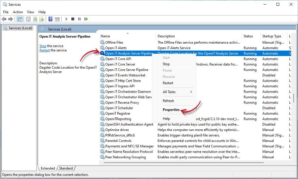Analysis Server Pipeline Service Properties