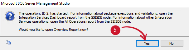  Show Execution Overview Report