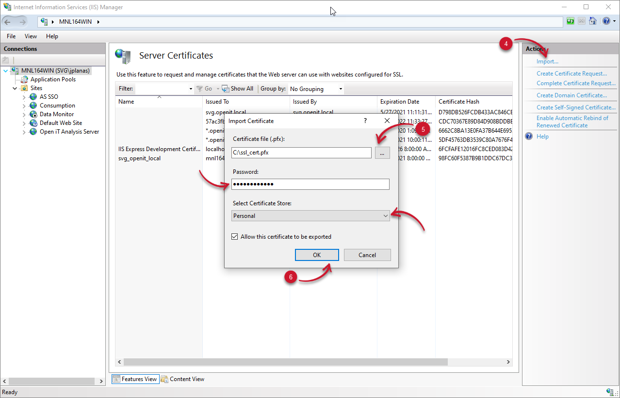 Analysis Server Configuration: Server Certificates