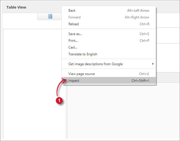 Analysis Server Troubleshooting: Inspect Web Browser