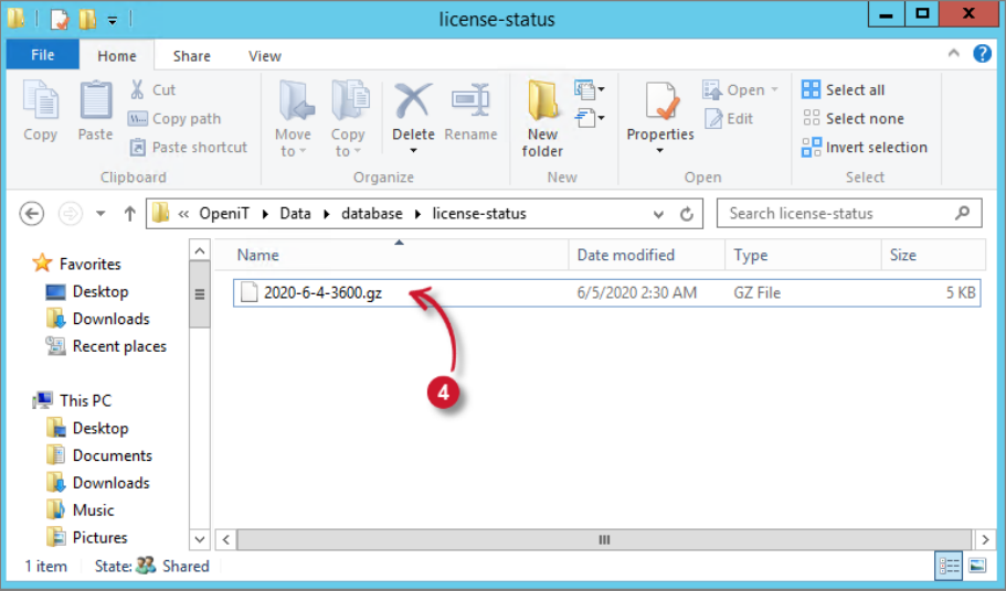 Analysis Server Troubleshooting: Check License Status File