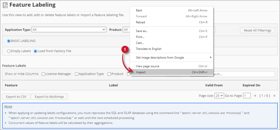 Analysis Server Troubleshooting: Inspect Web Browser