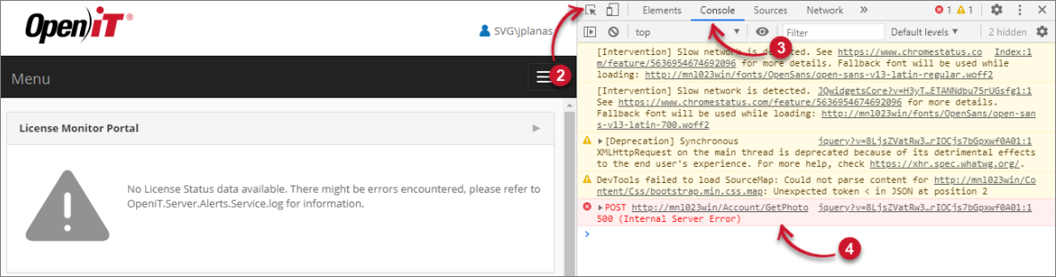 Analysis Server Troubleshooting: Check Web Browser Console Errors