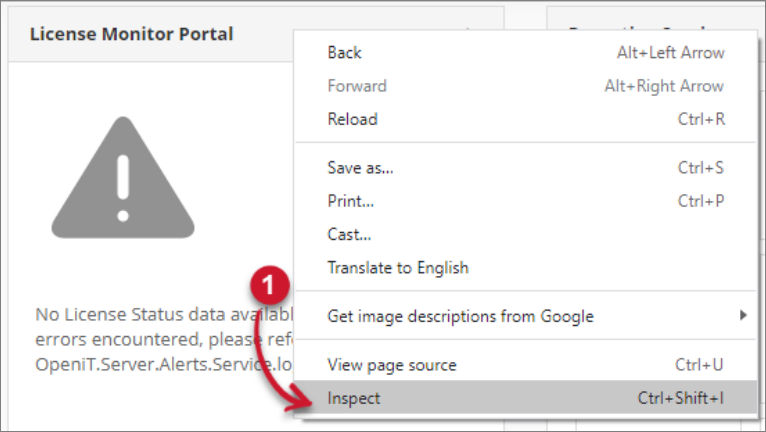 Analysis Server Troubleshooting: Inspect Web Browser