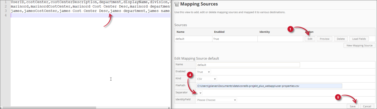 Analysis Server Troubleshooting: Check delimiter used