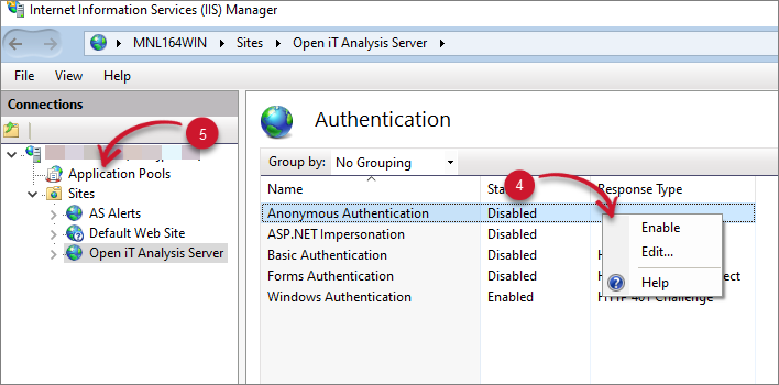 Analysis Server COnfiguration: Web Site Authentication