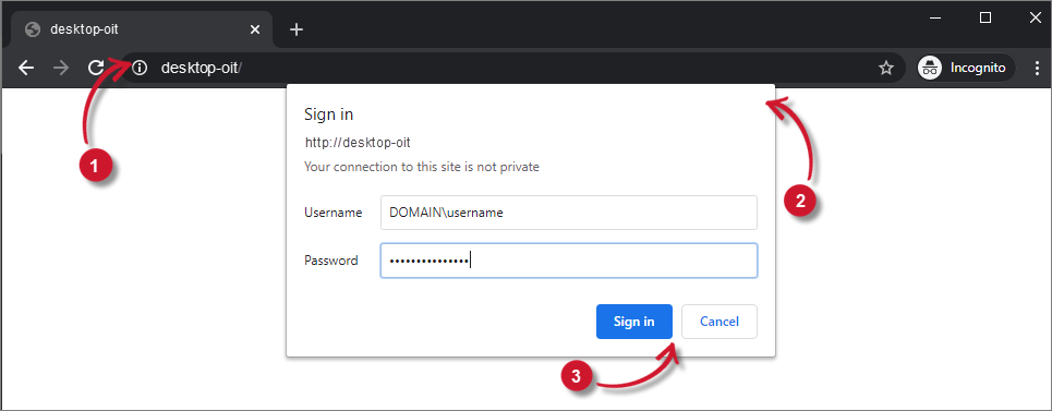  Analysis Server Web Access