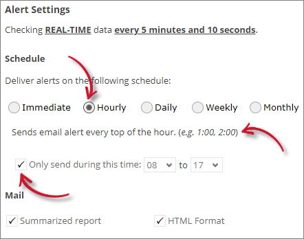 Analysis Server License Usage Portlet: License Daemon Down Alert Settings Hourly