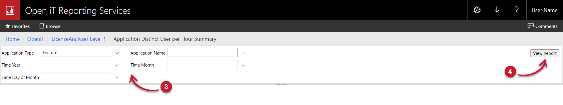 Application Distinct User per Hour Summary Parameters