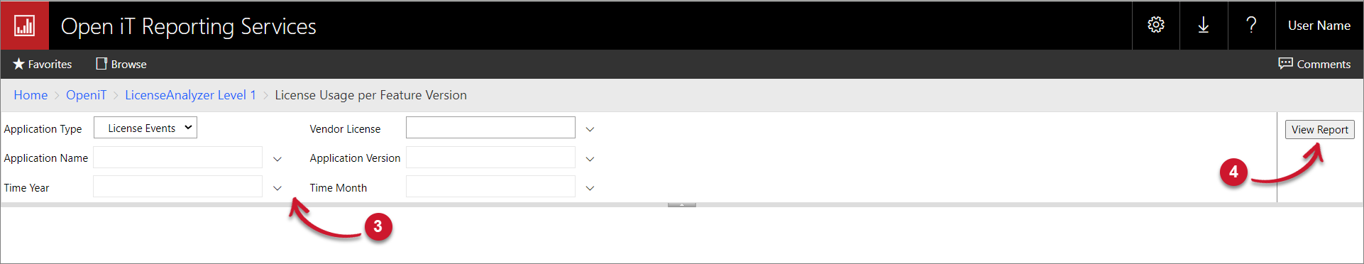 License Usage per Feature Version Parameters