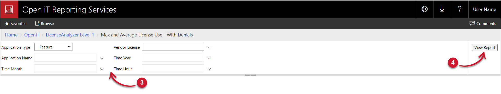 Max and Average License Use - With Denials Parameters