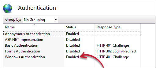 Verifying Website Authentication